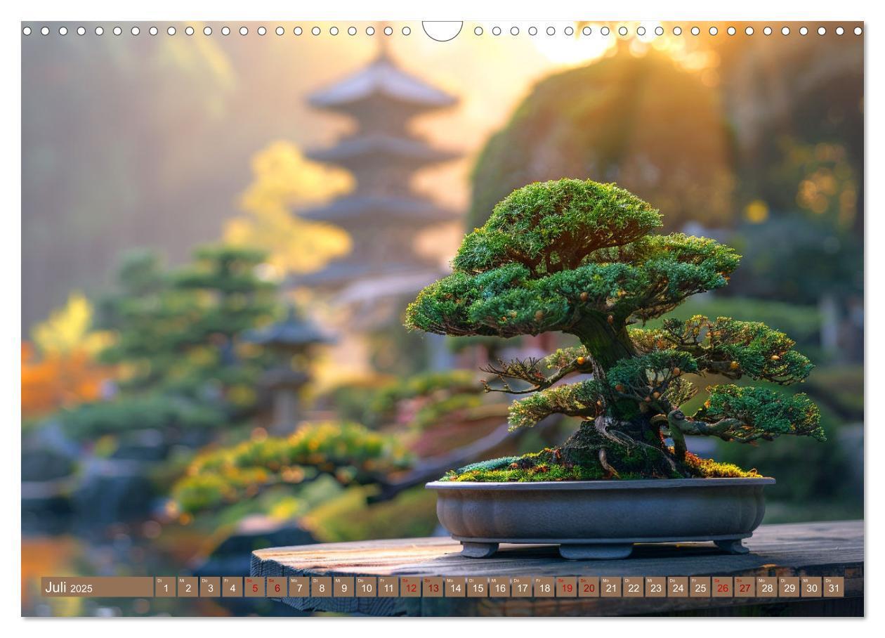 Bild: 9783383822254 | Bonsai meditativ (Wandkalender 2025 DIN A3 quer), CALVENDO...