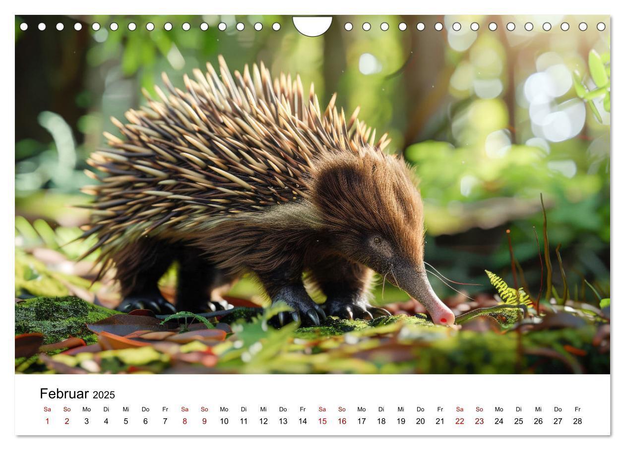 Bild: 9783383800641 | Wildes Down Under: Tiere des Australischen Kontinents (Wandkalender...