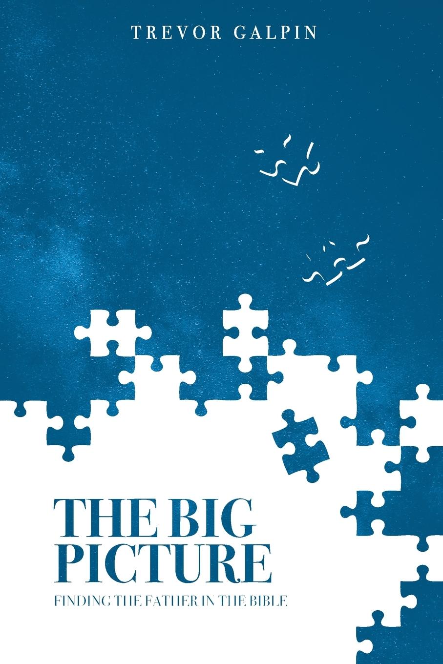 Cover: 9781838057046 | The Big Picture | Finding the Father in the Bible | Trevor Galpin