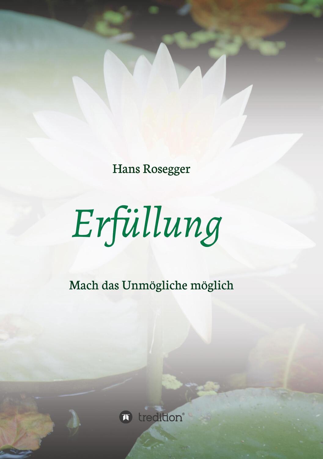 Cover: 9783743941595 | Erfüllung | Mach das Unmögliche möglich | Hans Rosegger | Taschenbuch