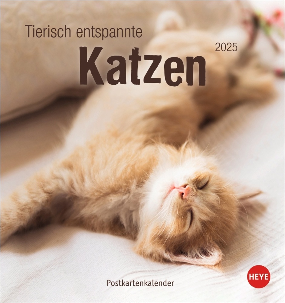 Cover: 9783756407088 | Tierisch entspannte Katzen Postkartenkalender 2025 | Kalender | 13 S.