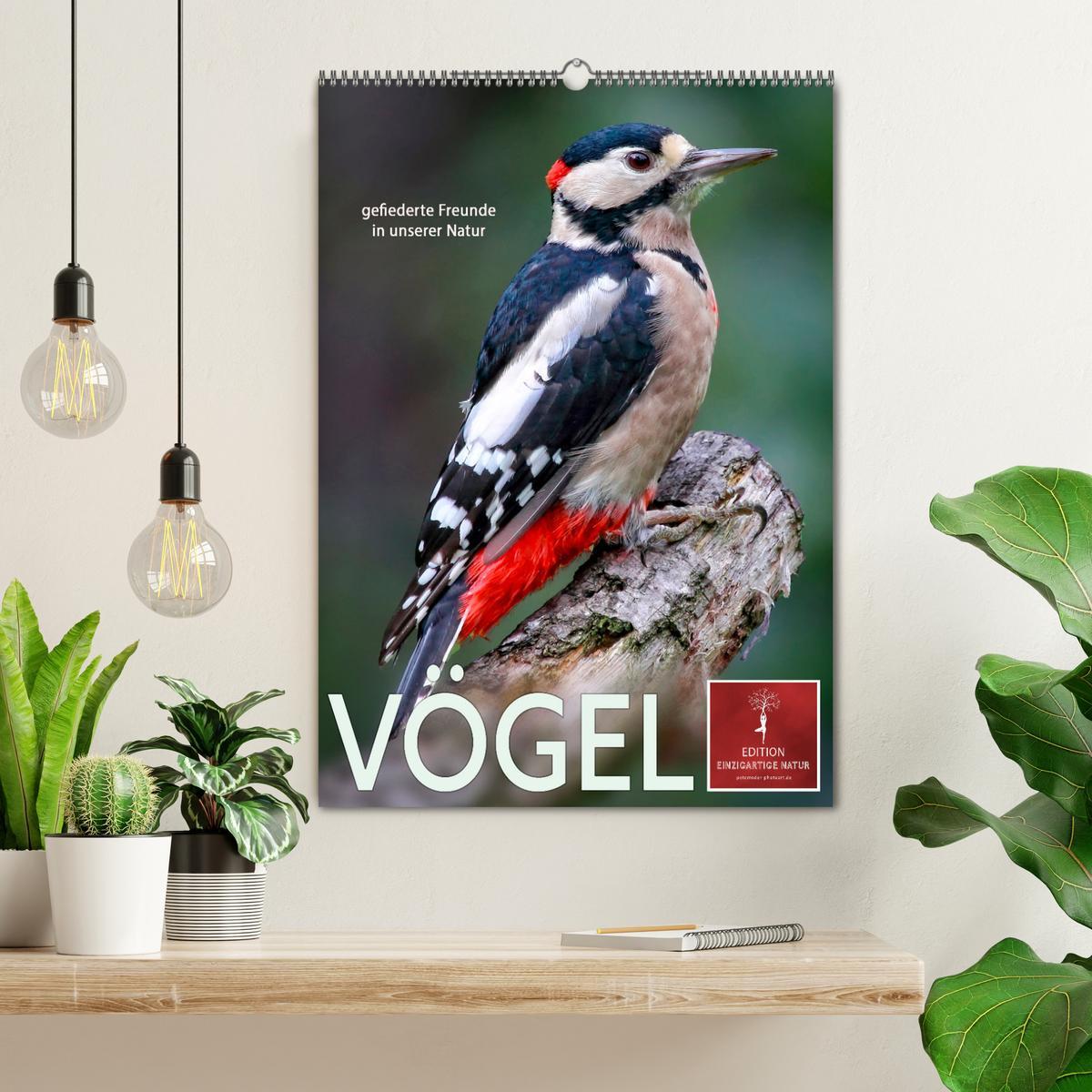 Bild: 9783435930470 | Vögel - gefiederte Freunde in unserer Natur (Wandkalender 2025 DIN...