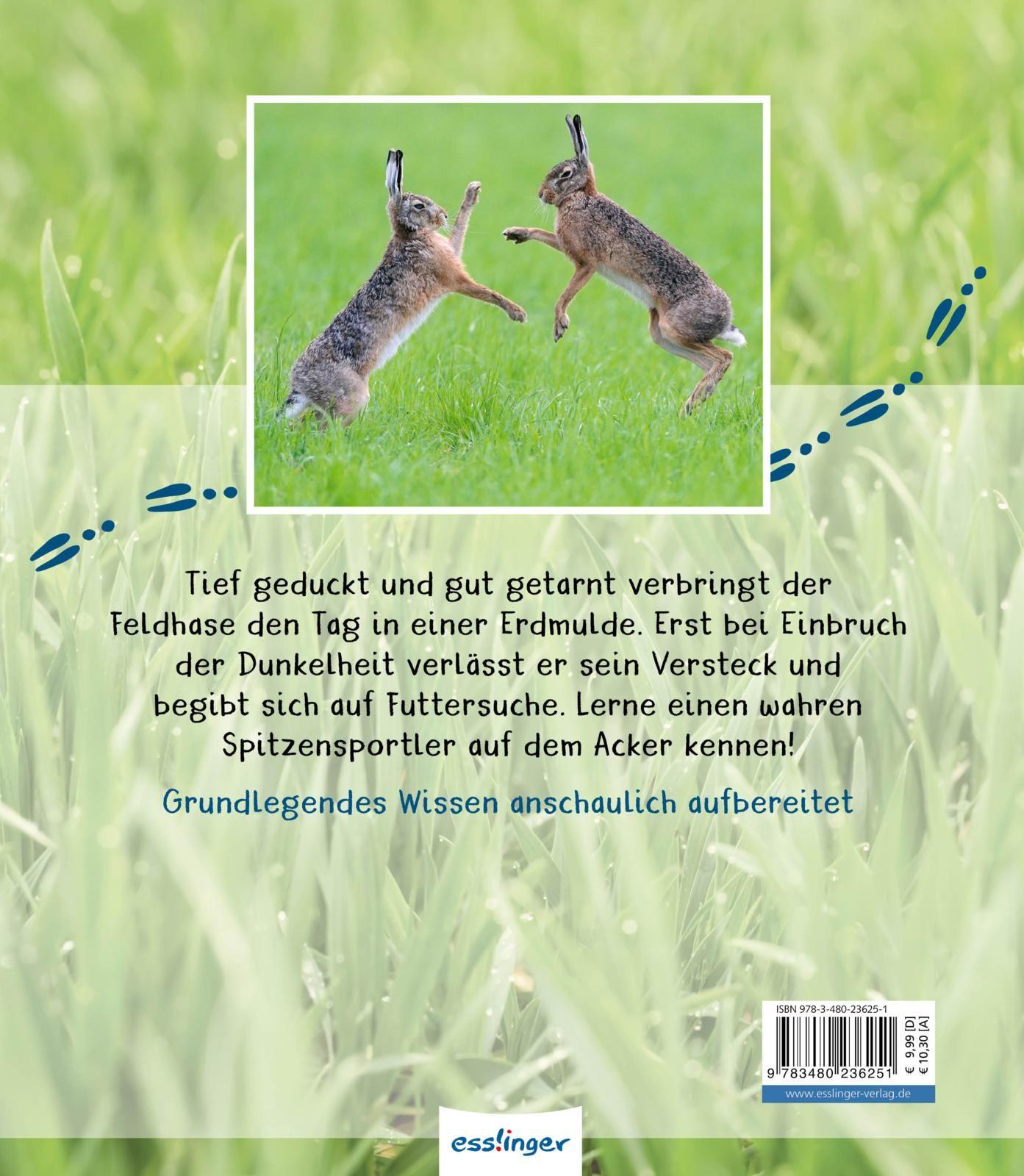 Rückseite: 9783480236251 | Meine große Tierbibliothek: Der Hase | Jens Poschadel | Buch | 32 S.