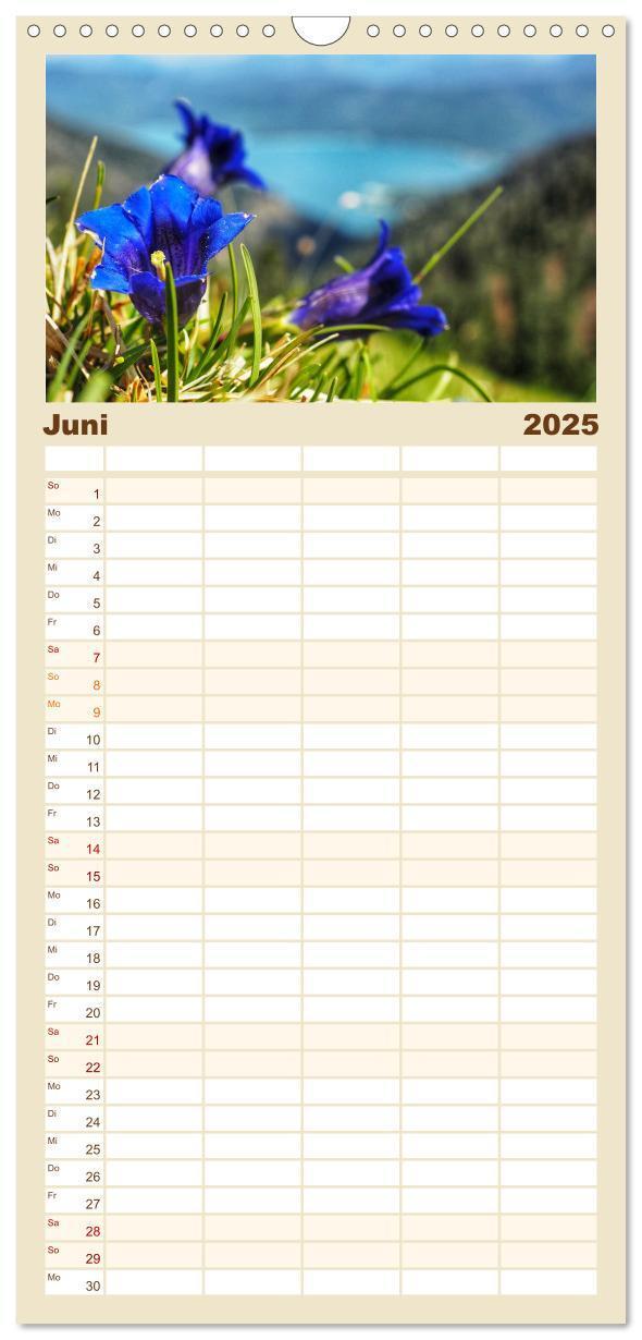 Bild: 9783457098608 | Familienplaner 2025 - Alpen Blick mit 5 Spalten (Wandkalender, 21 x...