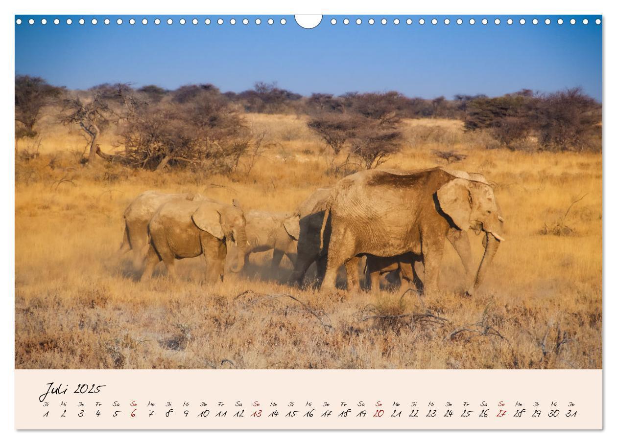 Bild: 9783435032327 | Namibia - Vom Sossusvlei bis zum Etosha Nationalpark (Wandkalender...