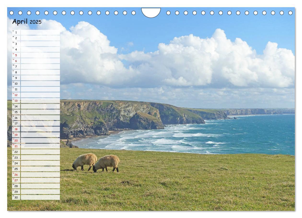 Bild: 9783435311927 | Cornwall. Terminkalender (Wandkalender 2025 DIN A4 quer), CALVENDO...