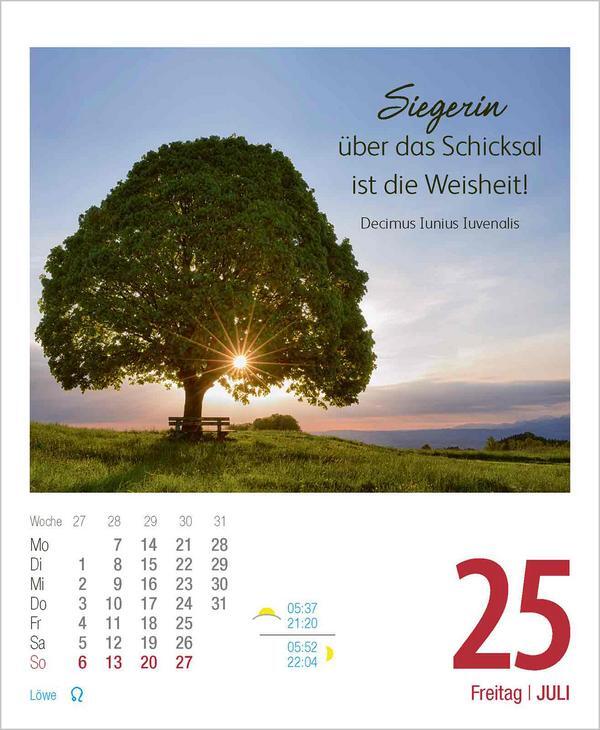 Bild: 9783731880578 | Genieße jeden Augenblick 2025 | Verlag Korsch | Kalender | 328 S.