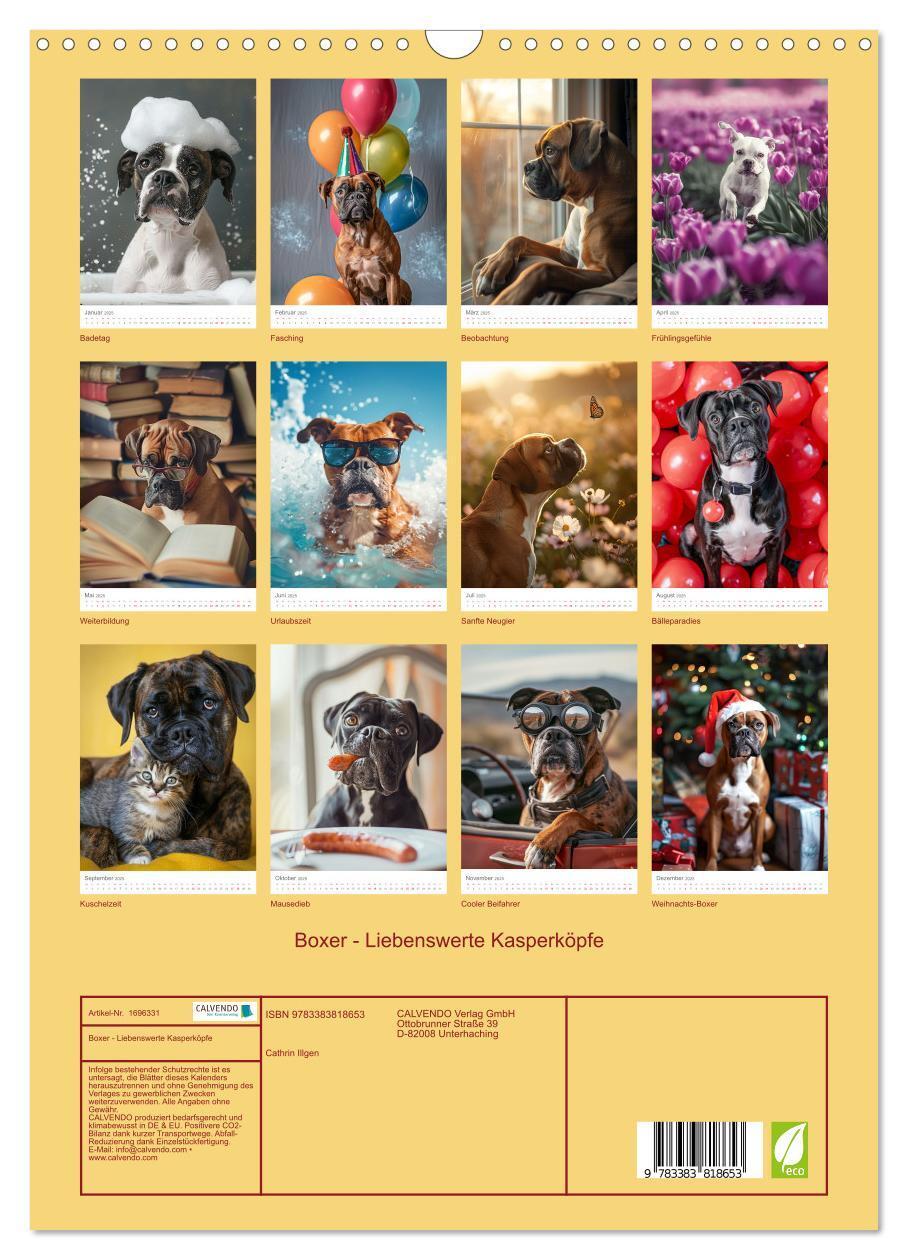 Bild: 9783383818653 | Boxer - Liebenswerte Kasperköpfe (Wandkalender 2025 DIN A3 hoch),...