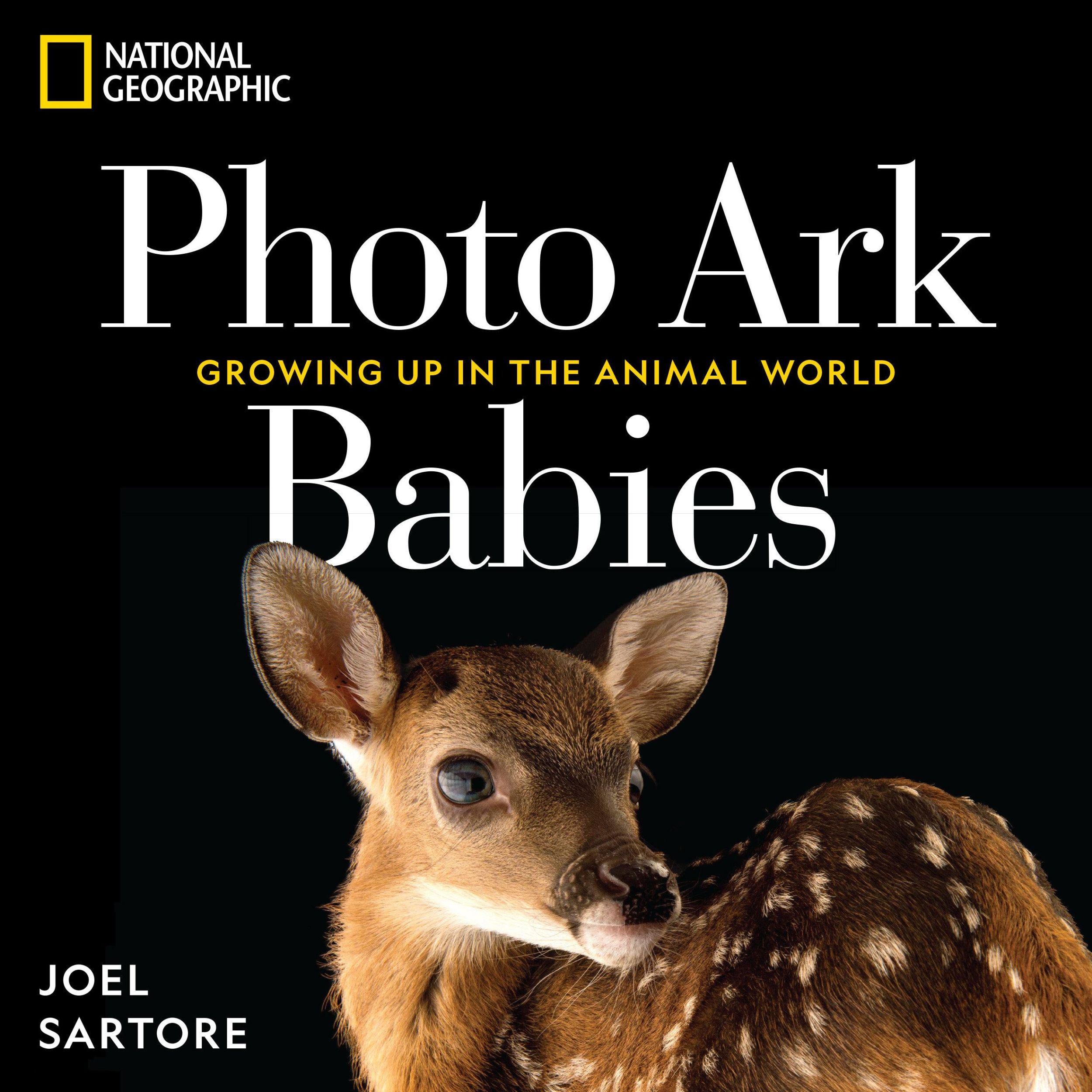 Cover: 9781426224065 | National Geographic Photo Ark Babies | Growing Up in the Animal World