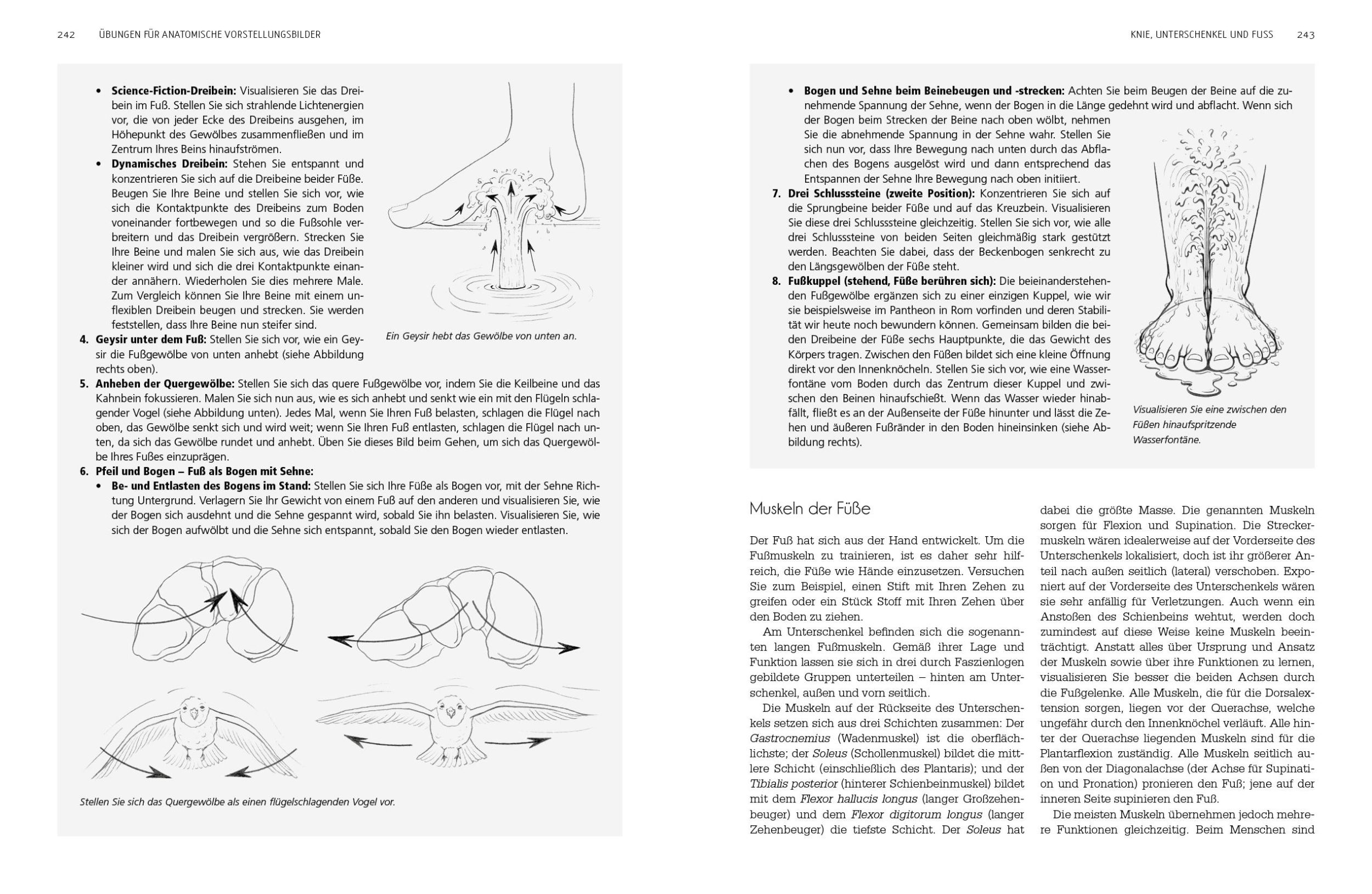 Bild: 9783742311993 | Frei bewegen | Eric N. Franklin | Taschenbuch | 416 S. | Deutsch