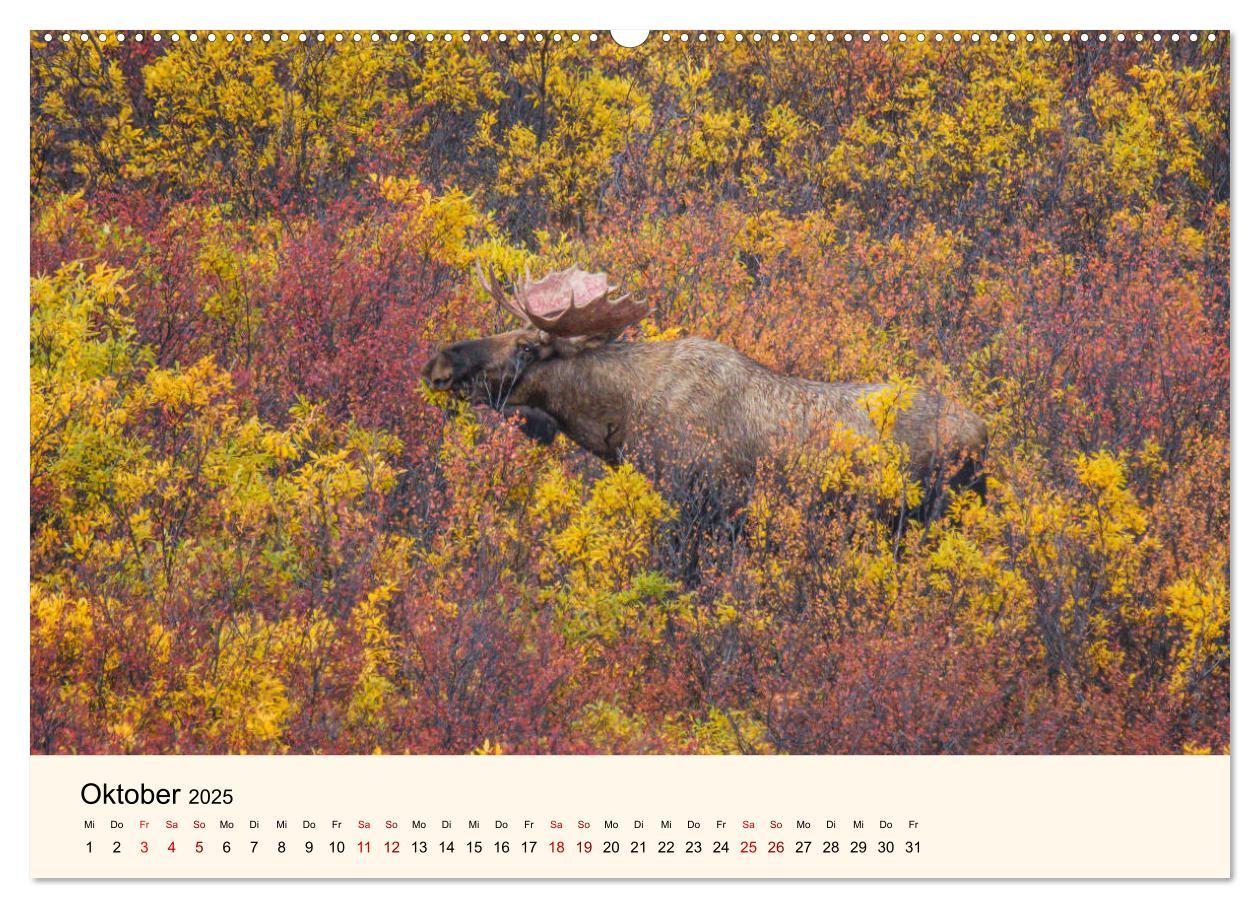 Bild: 9783435128129 | Der Elch - König des Nordens (hochwertiger Premium Wandkalender...