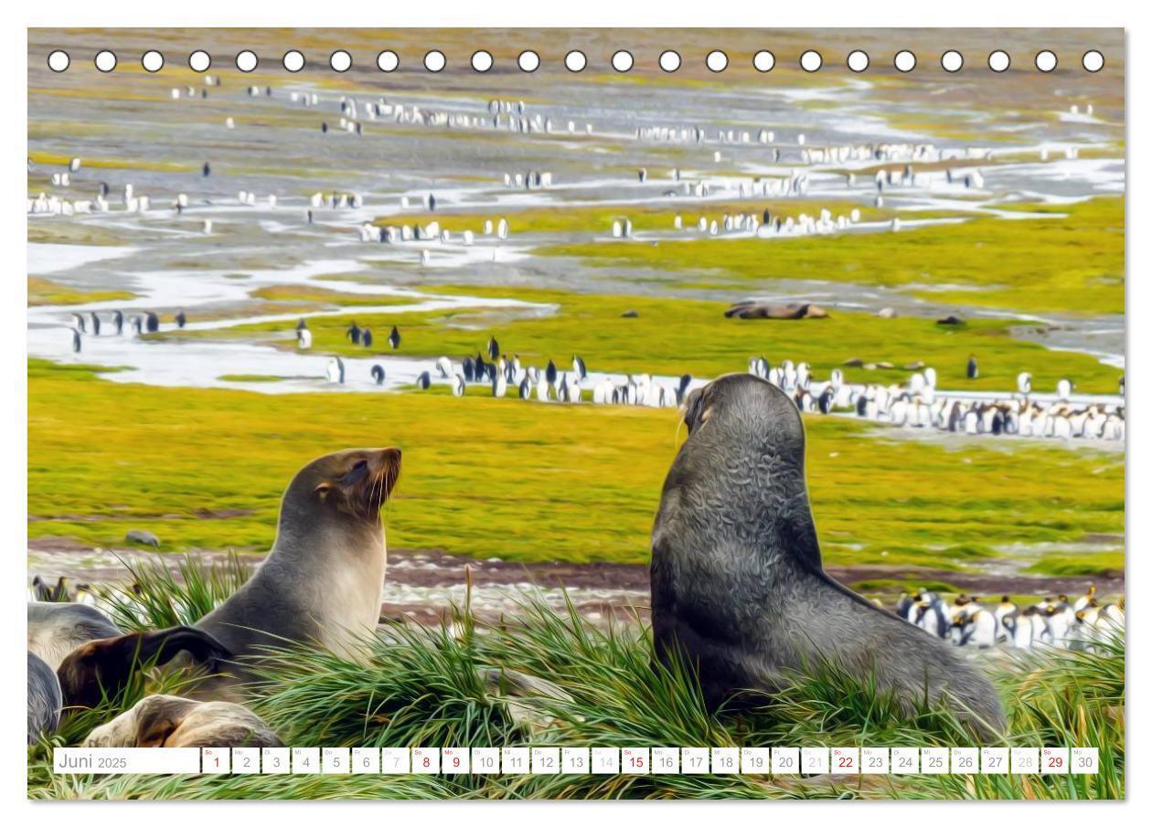 Bild: 9783435801190 | Antarktis - Das Reich der Pinguine (Tischkalender 2025 DIN A5...