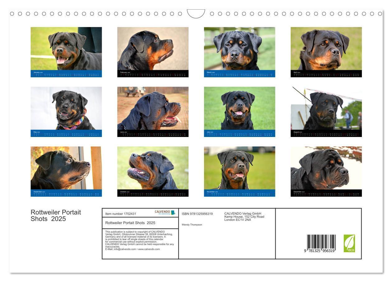 Bild: 9781325956319 | Rottweiler Portait Shots 2025 (Wall Calendar 2025 DIN A3...