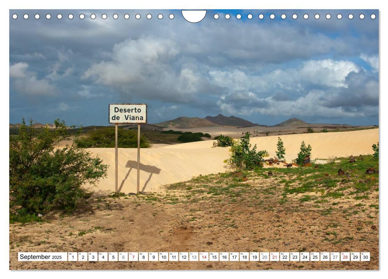 Bild: 9783435624218 | Boa Vista - Kapverden. Die Gemütliche (Wandkalender 2025 DIN A4...