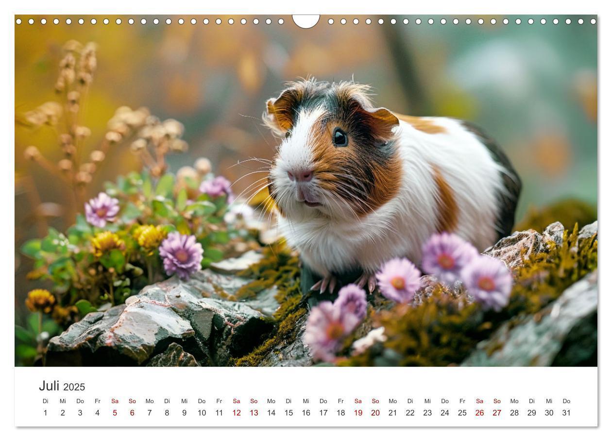 Bild: 9783383812293 | Wuschelbande - Ein Jahr voller Meerschweinchen (Wandkalender 2025...