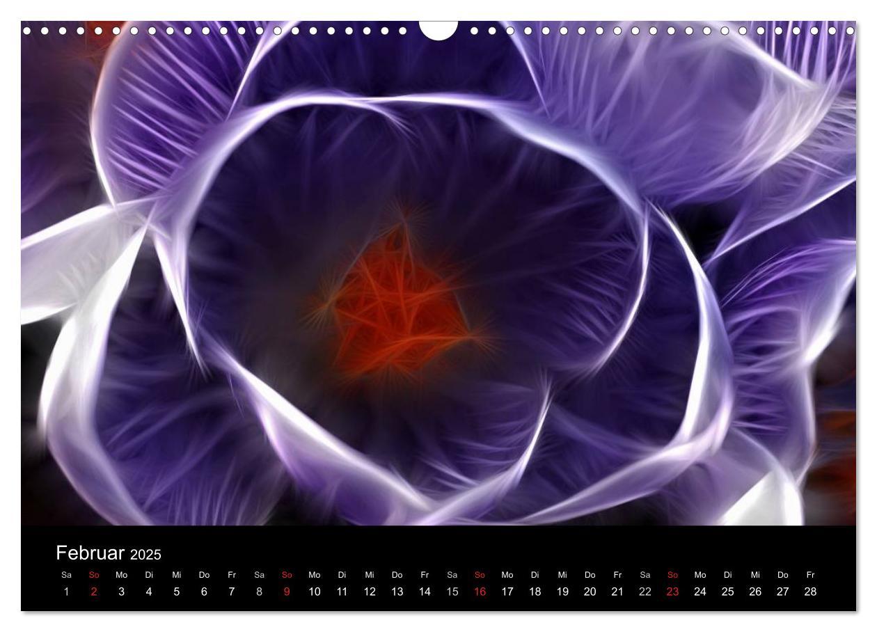 Bild: 9783435771554 | Floral Abstrakt 2025 (Wandkalender 2025 DIN A3 quer), CALVENDO...