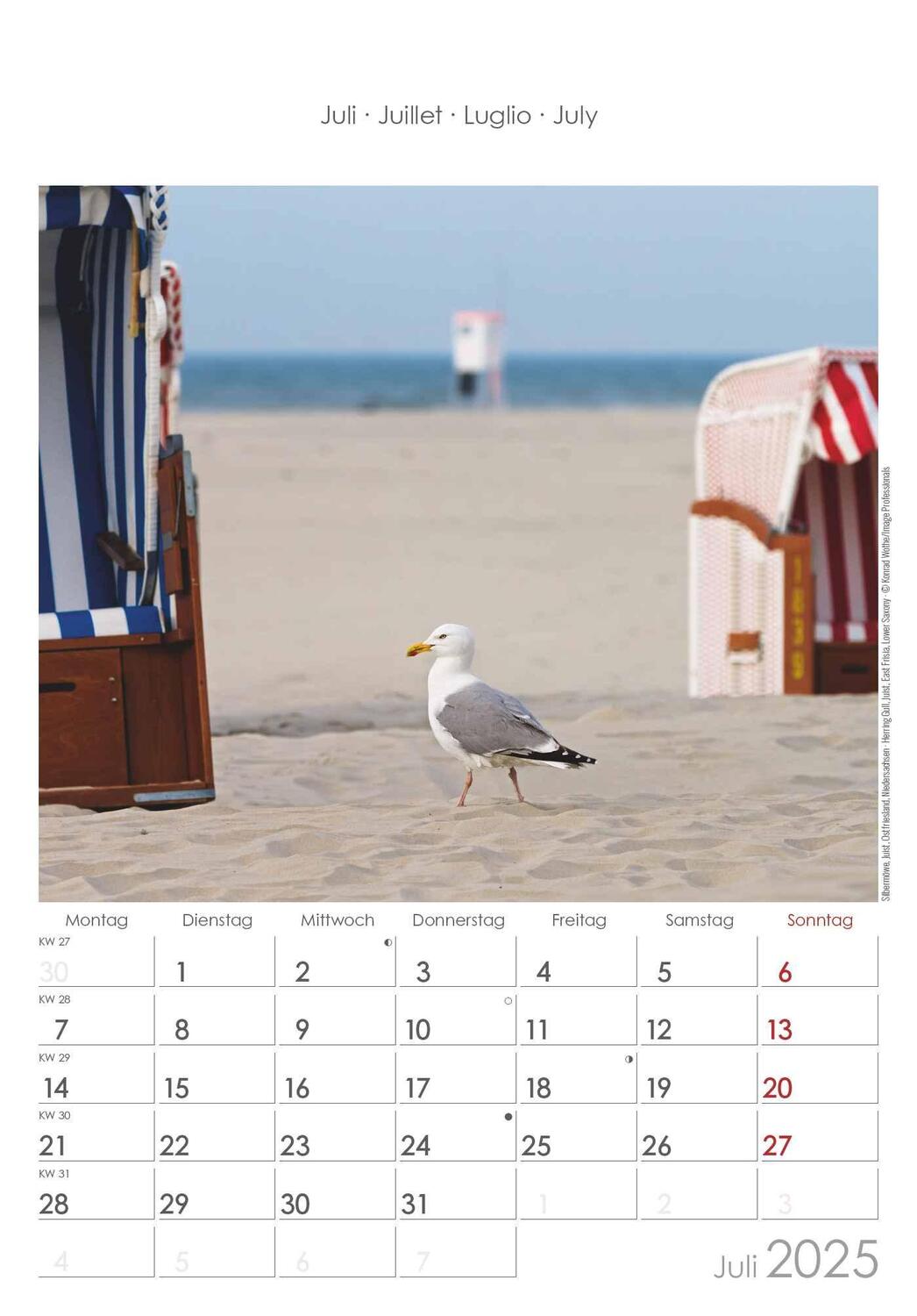 Bild: 4251732343378 | Niedersachsen und Bremen 2025 - Bild-Kalender 23,7x34 cm -...