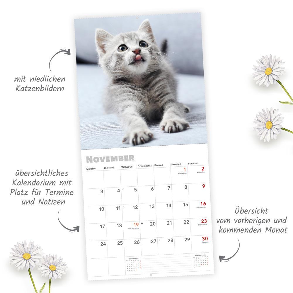 Bild: 9783988021892 | Trötsch Broschürenkalender Katzen 2025 | Wandplaner | KG | Kalender