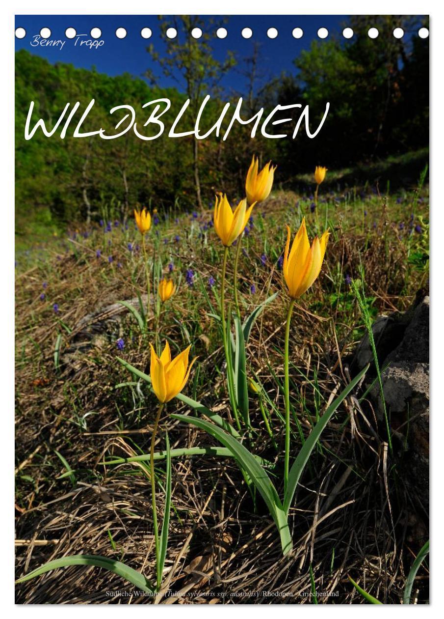 Cover: 9783457067307 | WILDBLUMEN (Tischkalender 2025 DIN A5 hoch), CALVENDO Monatskalender