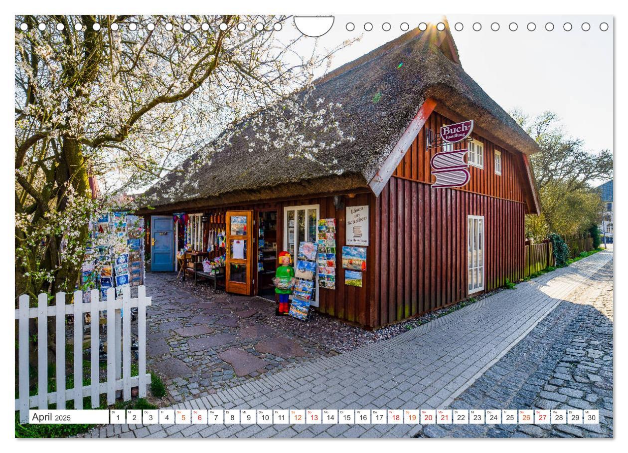 Bild: 9783435236220 | Zingst Stadtansichten (Wandkalender 2025 DIN A4 quer), CALVENDO...