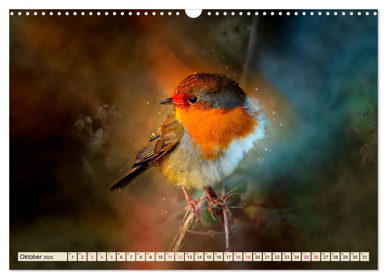 Bild: 9783435333646 | Bei uns im Garten - Rotkehlchen (Wandkalender 2025 DIN A3 quer),...