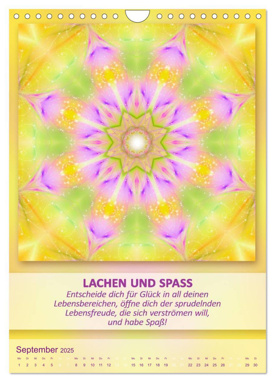 Bild: 9783457060971 | Light Energy Mandalas - Kalender - Vol. 2 (Wandkalender 2025 DIN A4...