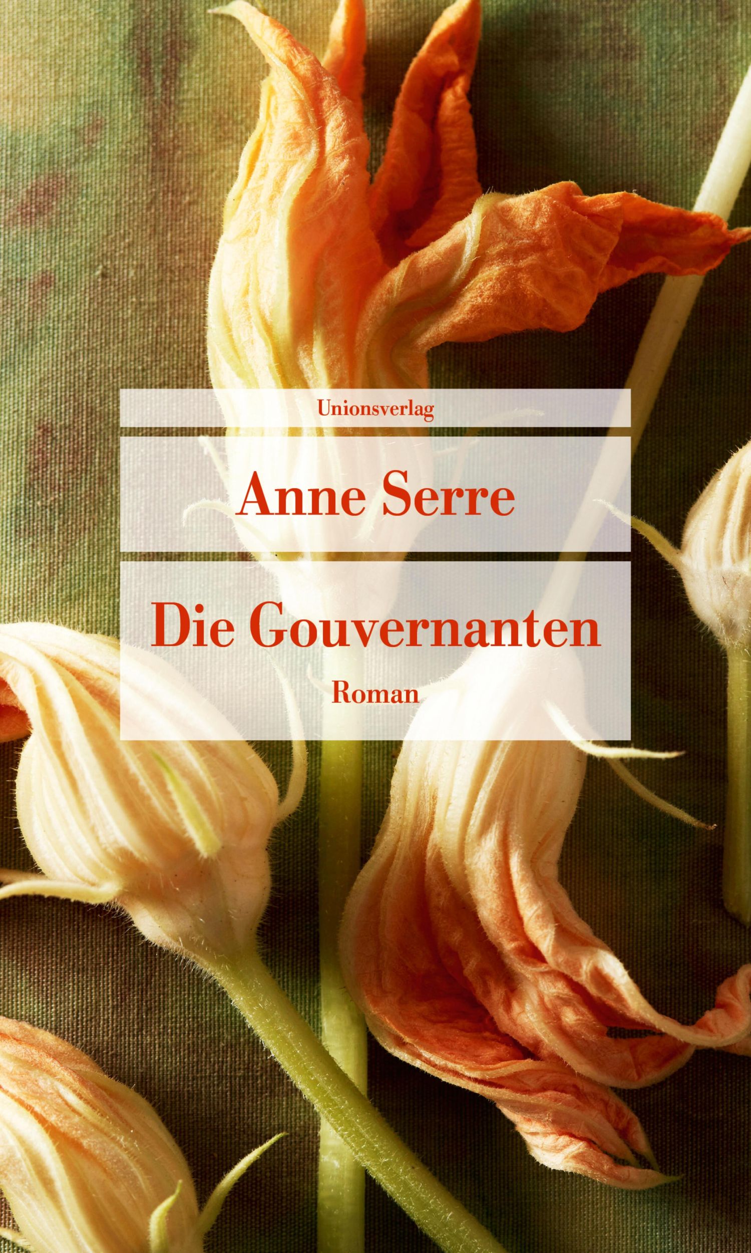 Cover: 9783293710276 | Die Gouvernanten | Roman | Anne Serre | Taschenbuch | 96 S. | Deutsch