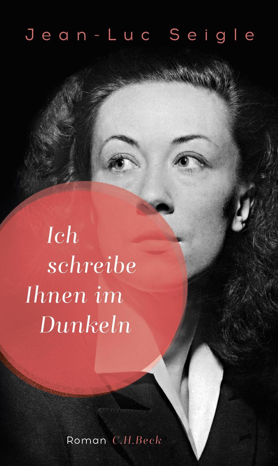 Cover: 9783406697180 | Ich schreibe Ihnen im Dunkeln | Jean-Luc Seigle | Buch | 207 S. | 2017