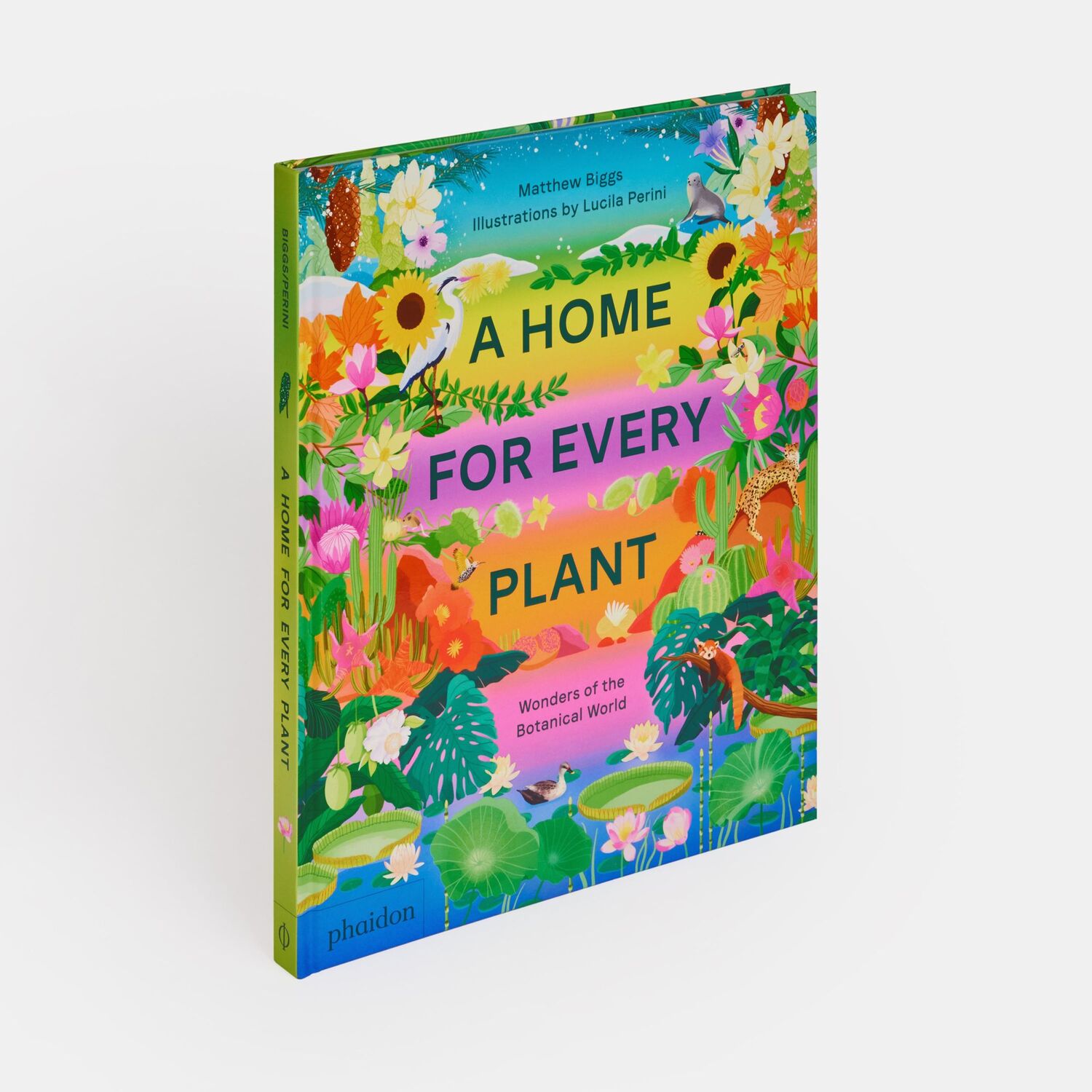 Bild: 9781838665937 | A Home for Every Plant | Wonders of the Botanical World | Biggs | Buch