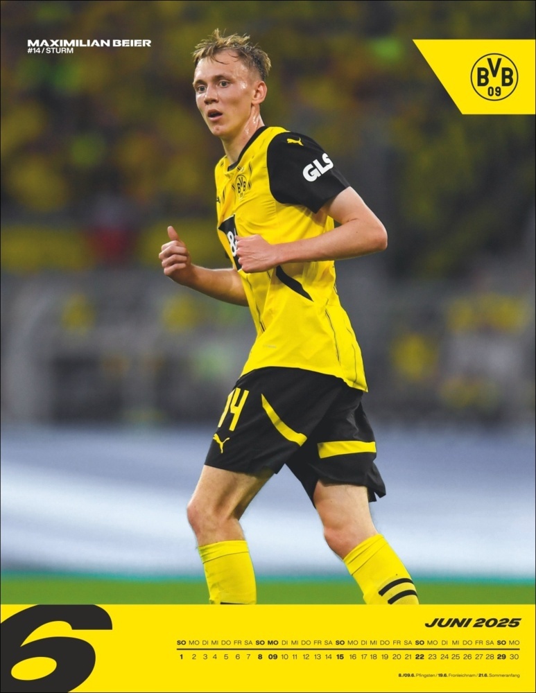 Bild: 9783756405435 | BVB Posterkalender 2025 | Kalender | Spiralbindung | 15 S. | Deutsch