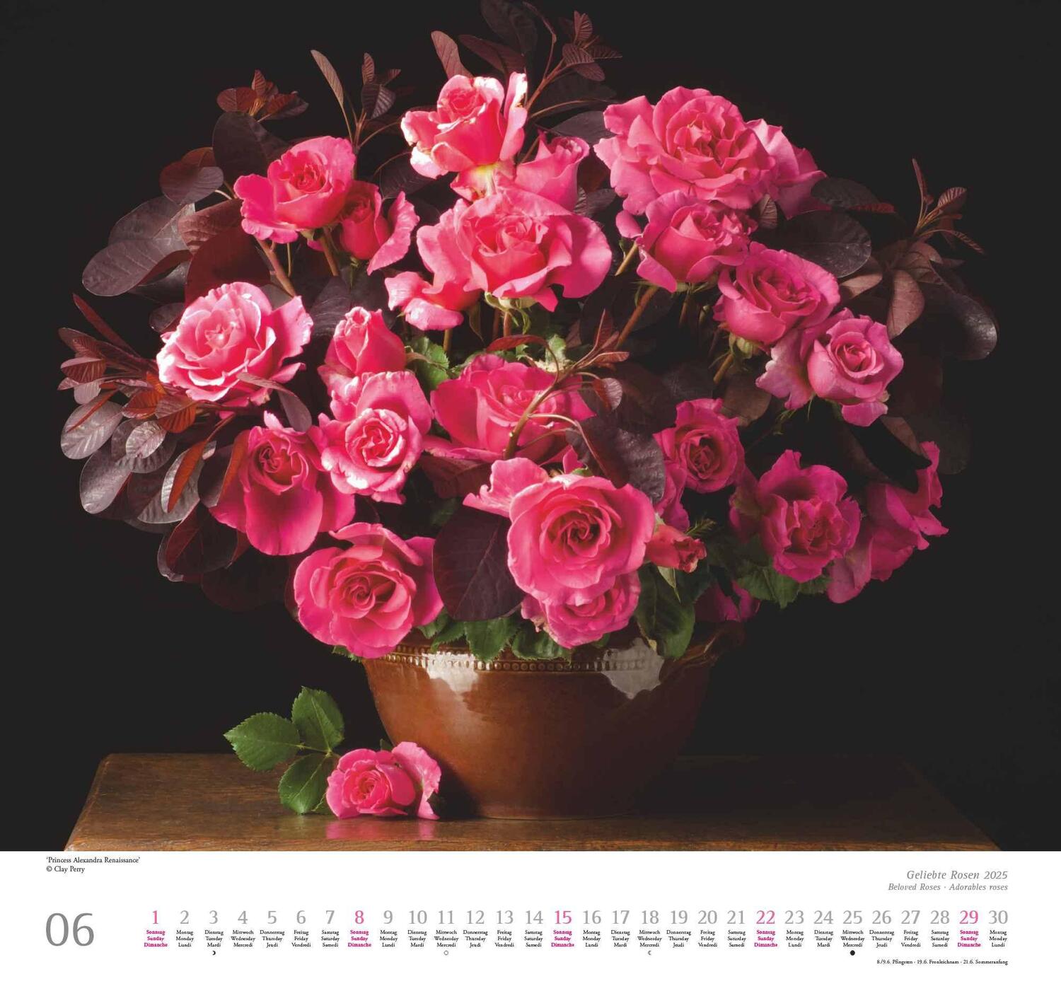 Bild: 4250809653082 | Geliebte Rosen 2025 - DUMONT Wandkalender - mit allen wichtigen...