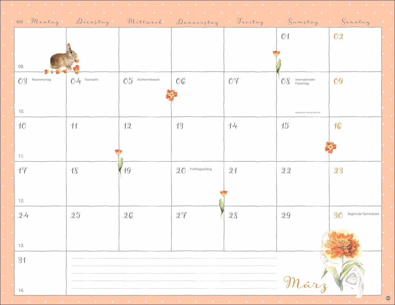 Bild: 9783756408849 | Marjolein Bastin: Monatsplaner 2025 | Kalender | Spiralbindung | 15 S.