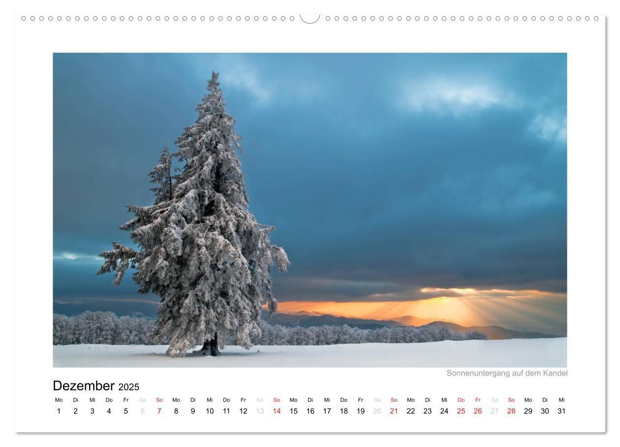 Bild: 9783435817375 | Schwarzwald 2025 (Wandkalender 2025 DIN A2 quer), CALVENDO...