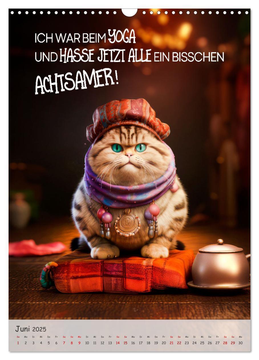 Bild: 9783383771439 | COOLE KATZEN Sprücheklopfer (Wandkalender 2025 DIN A3 hoch),...