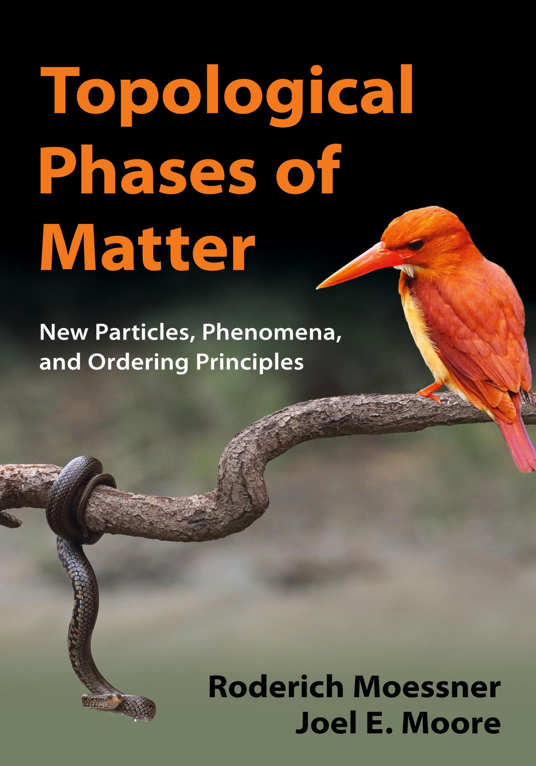 Cover: 9781107105539 | Topological Phases of Matter | Roderich Moessner (u. a.) | Buch | 2021