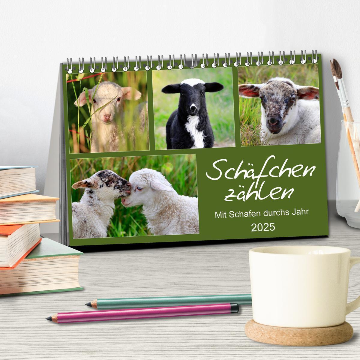 Bild: 9783435429233 | Schäfchen zählen - Mit Schafen durchs Jahr (Tischkalender 2025 DIN...