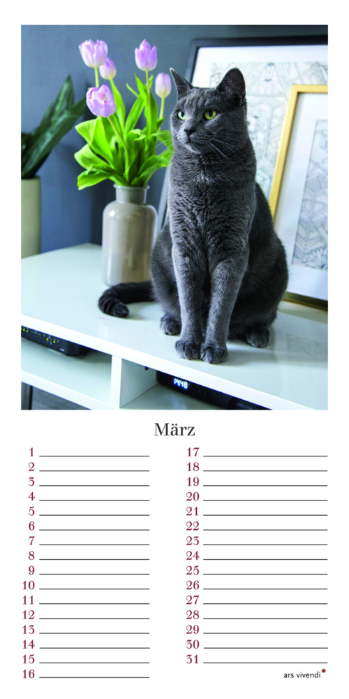 Bild: 9783747203958 | Geburtstagskalender Katzen | Immerwährender Kalender | Verlag | 12 S.