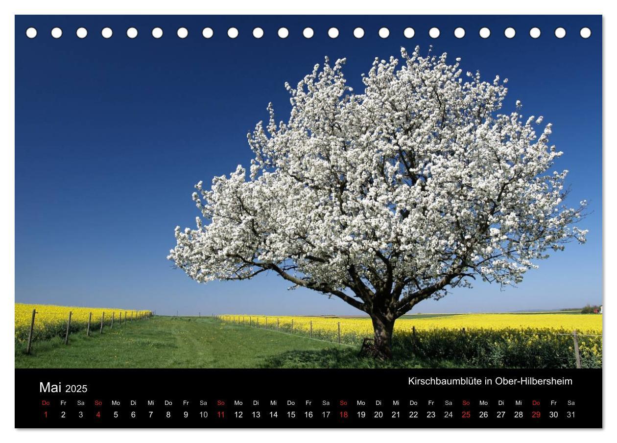 Bild: 9783435492190 | Himmel über Rheinhessen (Tischkalender 2025 DIN A5 quer), CALVENDO...