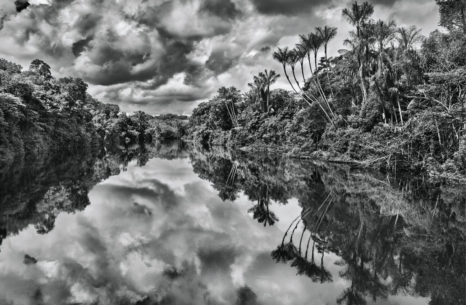 Bild: 9783907315071 | Du908 - das Kulturmagazin. Amazônia. Sebastião Salgado | Oliver Prange