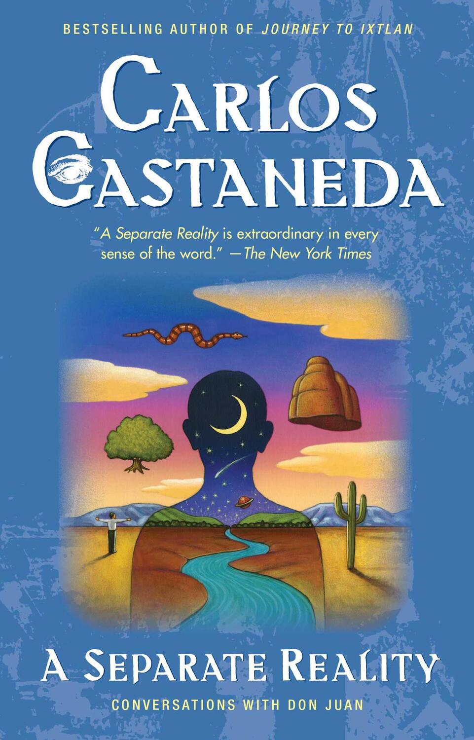 Cover: 9780671732493 | Separate Reality | Carlos Castaneda | Taschenbuch | Englisch | 1991