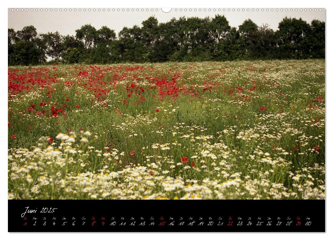 Bild: 9783435778546 | RHÖN = SCHÖN (Wandkalender 2025 DIN A2 quer), CALVENDO Monatskalender