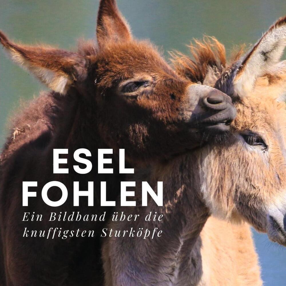 Cover: 9783750504882 | Esel-Fohlen | Ein Bildband über die knuffigsten Sturköpfe | Hübsch