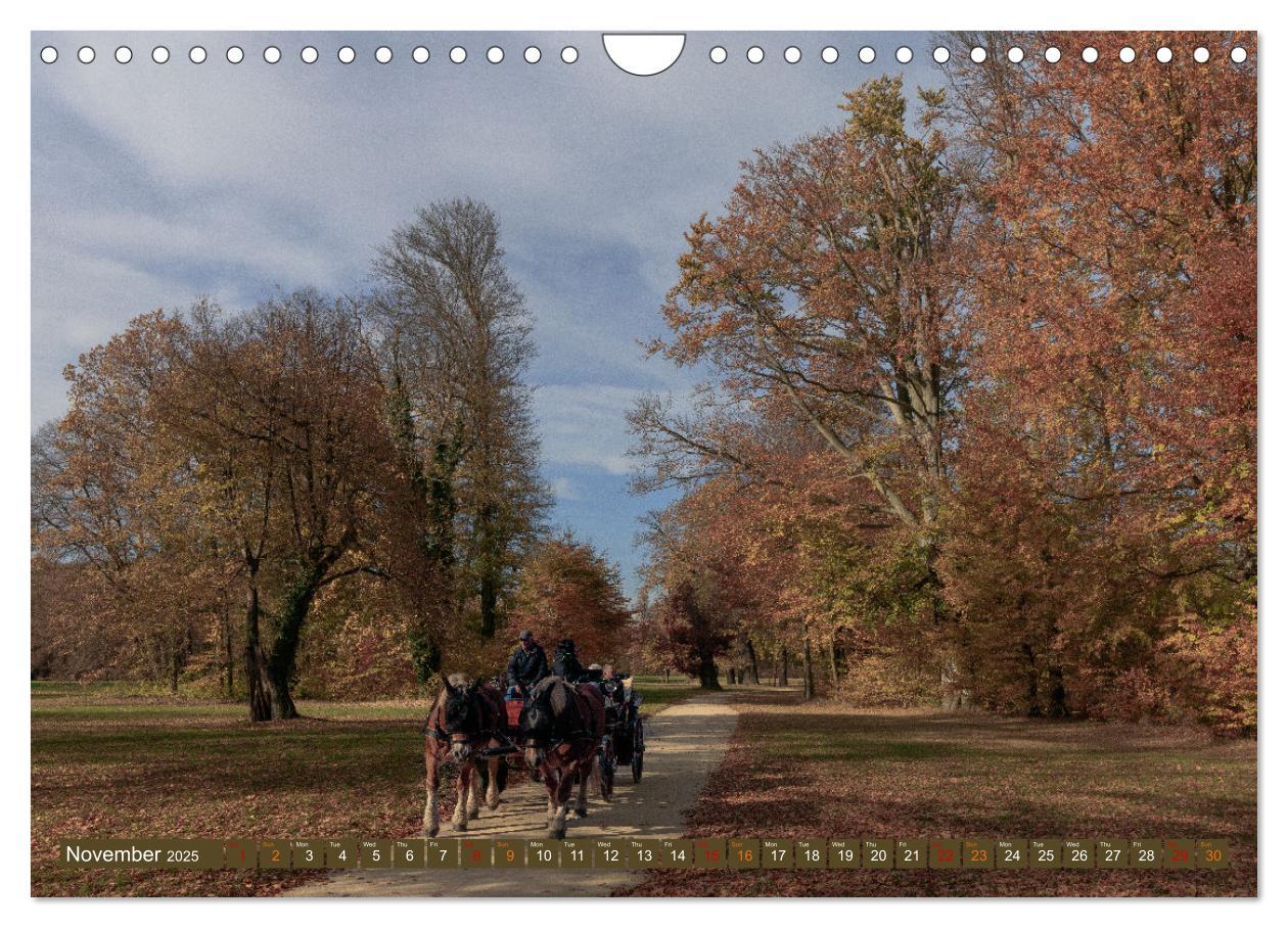 Bild: 9781325988907 | Prince Pueckler Park Bad Muskau (Wall Calendar 2025 DIN A4...