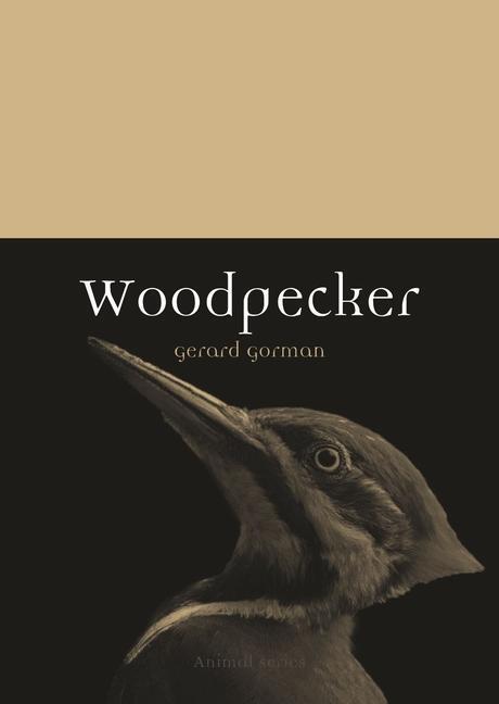 Cover: 9781780238296 | Woodpecker | Gerard Gorman | Taschenbuch | Animal | Englisch | 2017