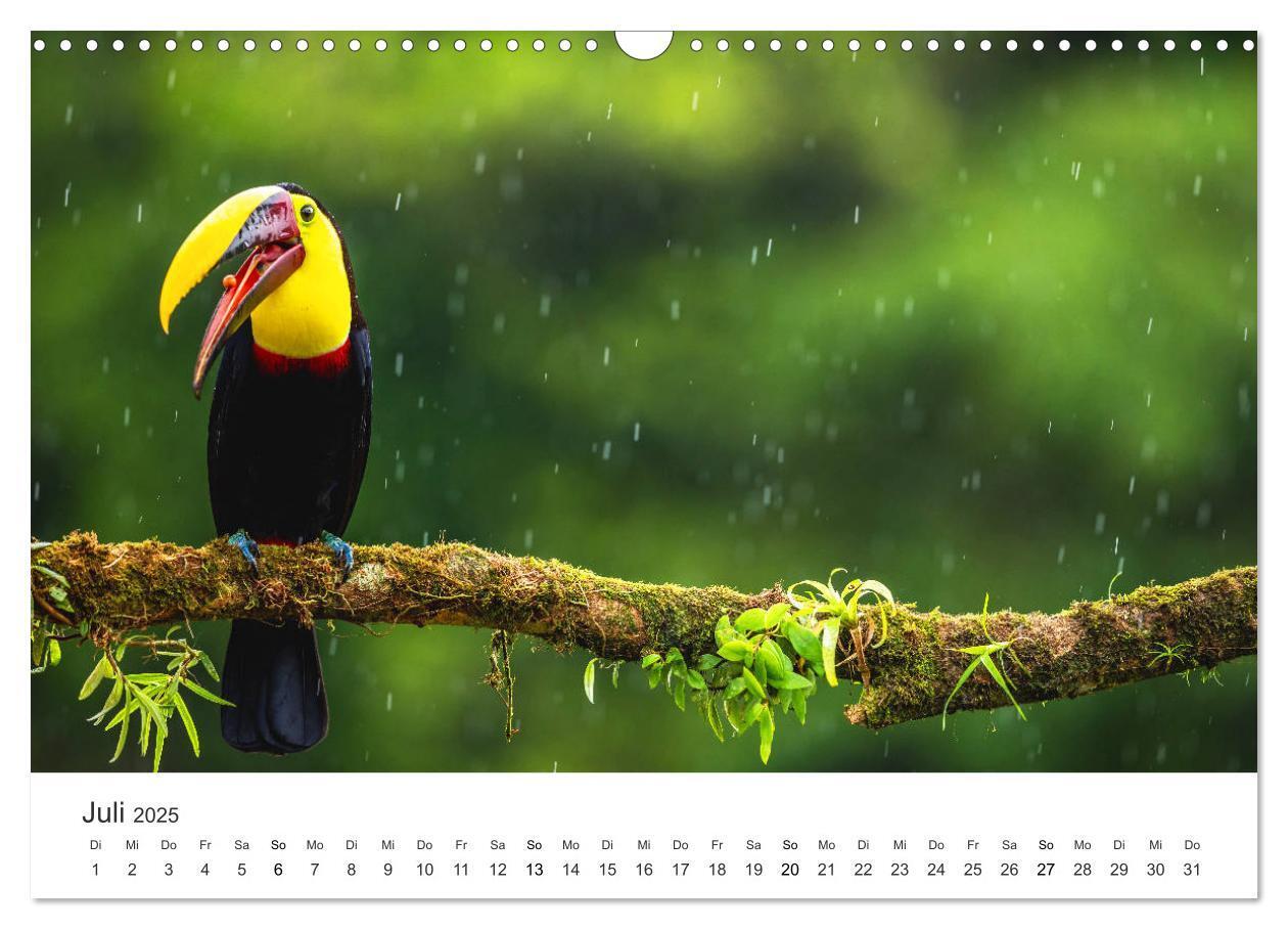 Bild: 9783435153534 | Costa Rica - exotische Tierwelt und unberührte Natur (Wandkalender...