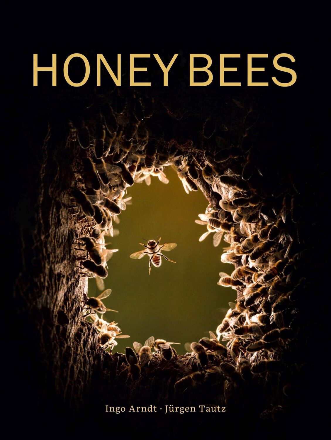 Cover: 9780565095277 | Honey Bees | Jurgen Tautz | Buch | Gebunden | Englisch | 2021