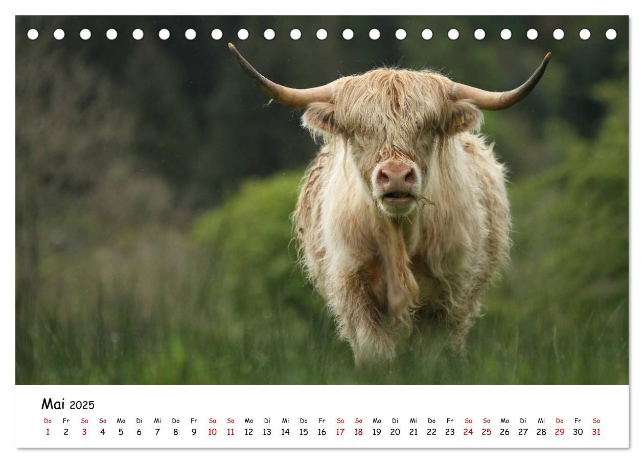 Bild: 9783435134175 | Schottland - Das Land mit rauem Charme (Tischkalender 2025 DIN A5...