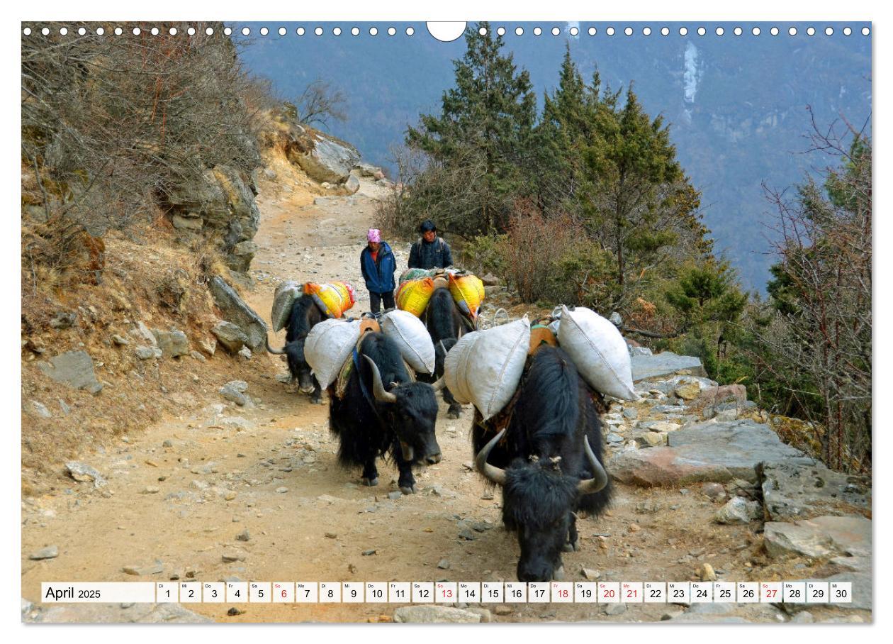 Bild: 9783435146901 | Traumtrekking in NEPAL (Wandkalender 2025 DIN A3 quer), CALVENDO...