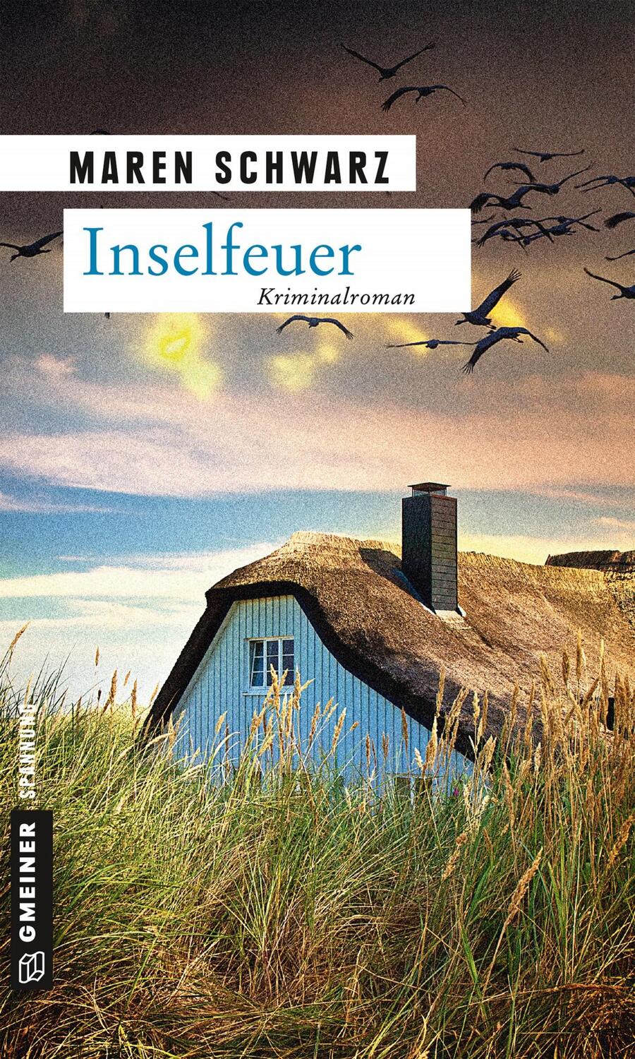 Cover: 9783839217412 | Inselfeuer | Maren Schwarz | Taschenbuch | 248 S. | Deutsch | 2015