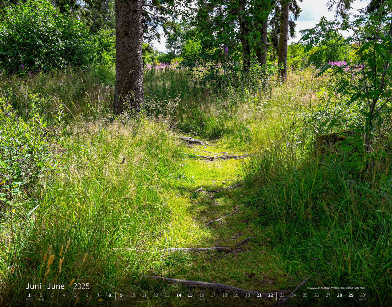 Bild: 9783862923427 | Wandern 2025 Großformat-Kalender 58 x 45,5 cm | Hiking 2025 | Verlag